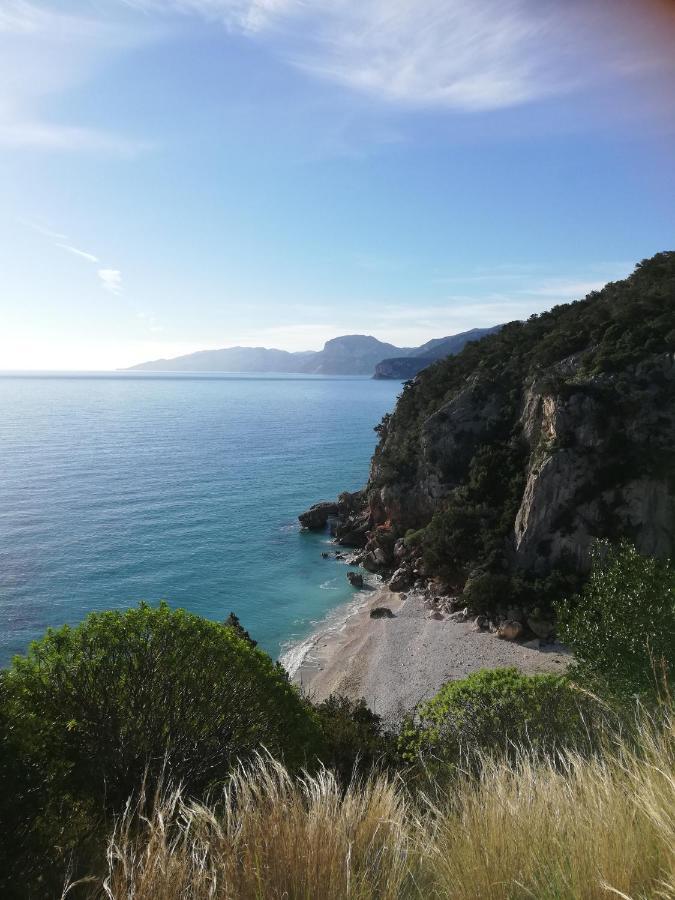 Appartamenti Le Conchiglie E Le Stelle Marine Cala Gonone Exterior photo