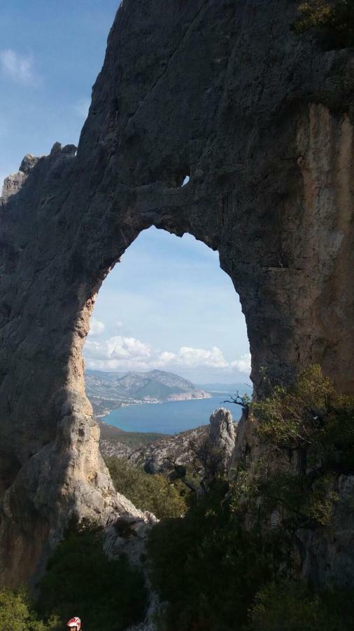 Appartamenti Le Conchiglie E Le Stelle Marine Cala Gonone Exterior photo